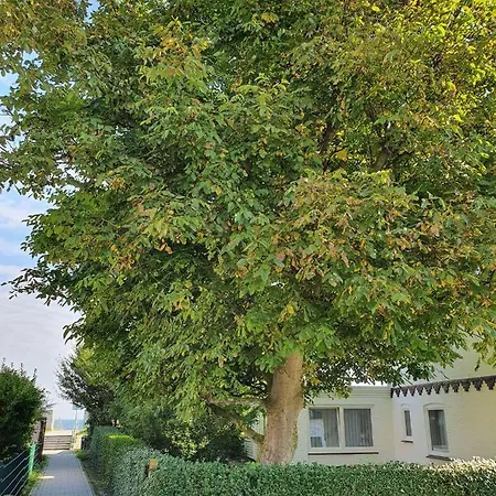 Hagelstein-i-donnerkeil 达默