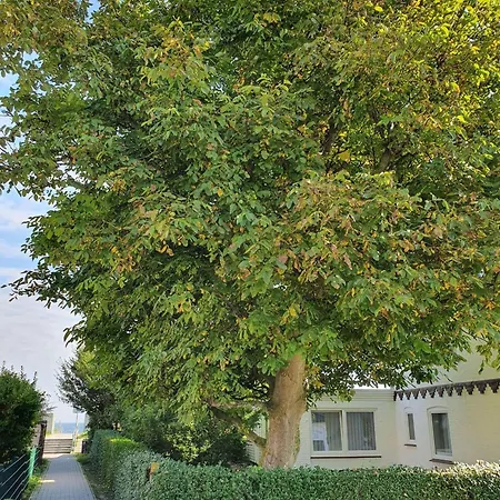 Apartment Hagelstein-i-donnerkeil